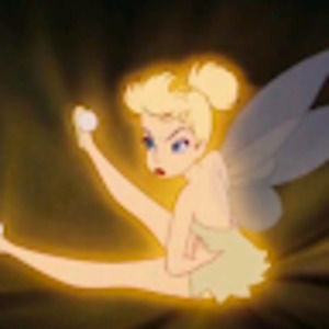 Meet your Posher, Kinley